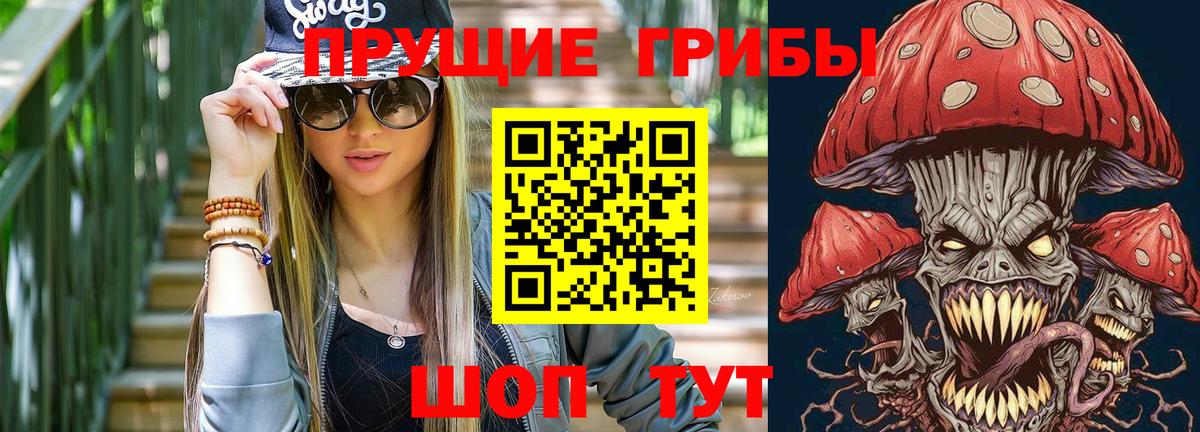 дарнет шоп  Вход с VPN  Псилоцибиновые грибы прущие грибы  Балабаново  Псилоцибиновые грибы мицелий 